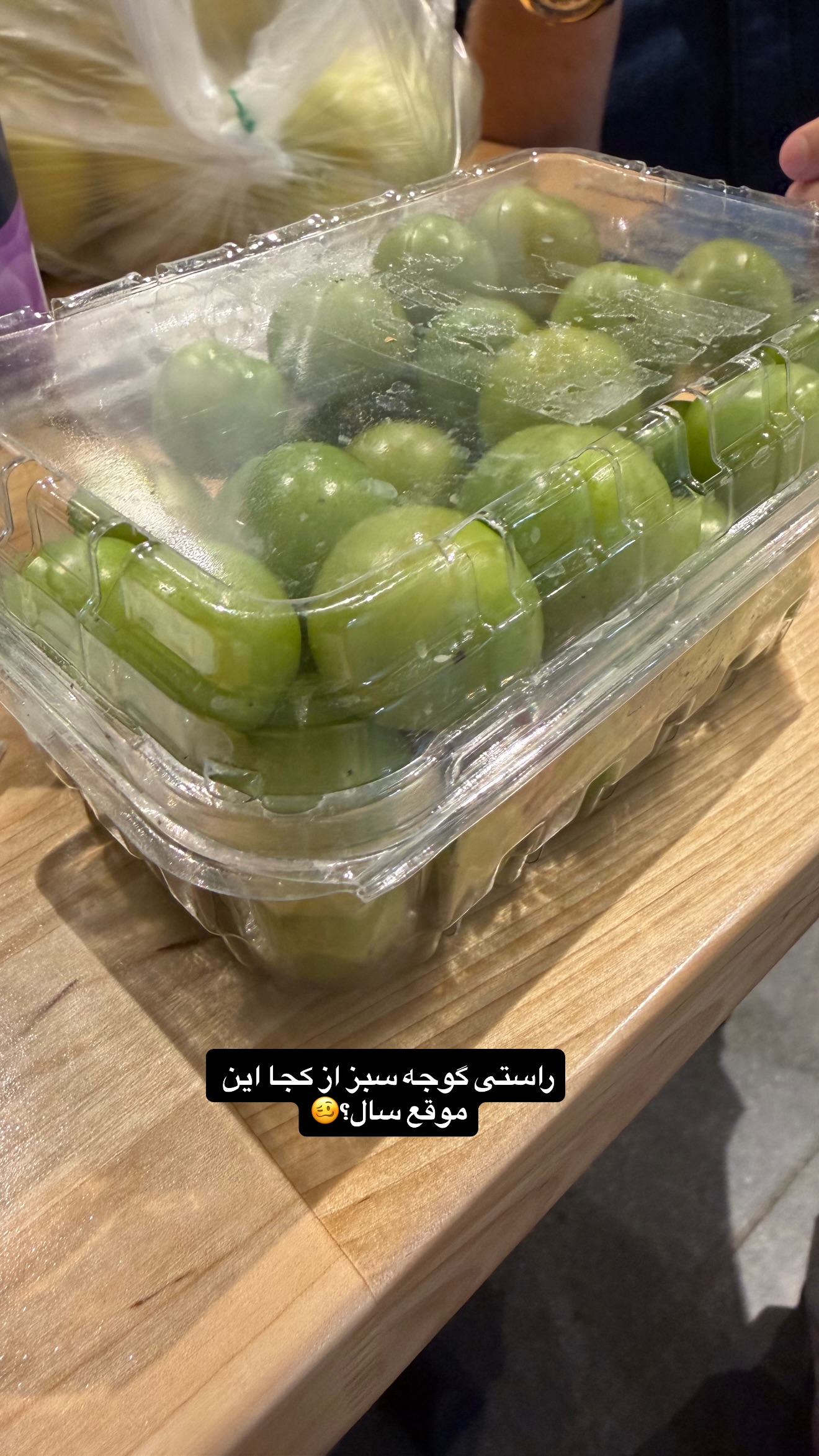  جدید ترین استوری اینستاگرام ثریا وحدتی نیا
