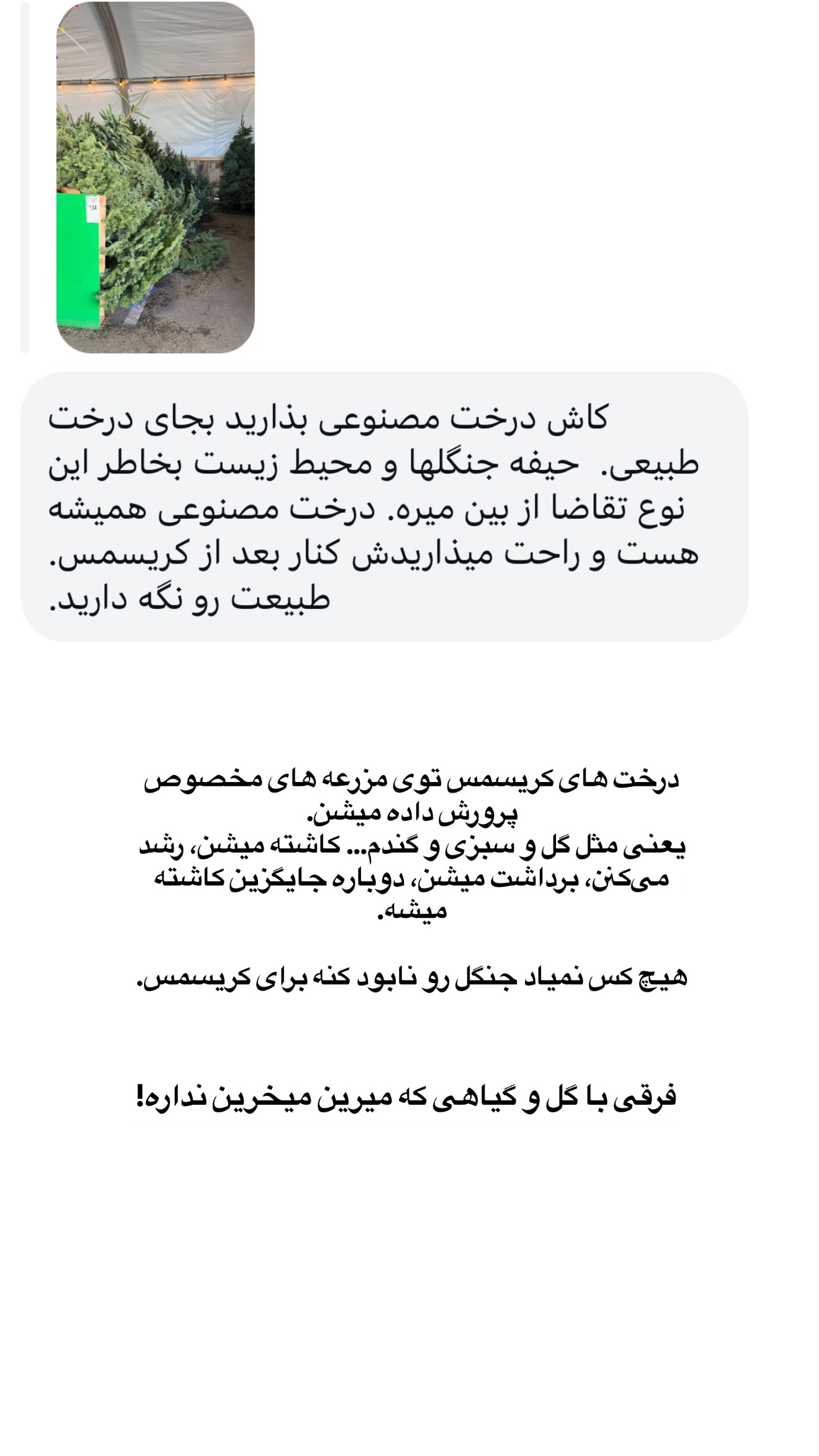  جدید ترین استوری اینستاگرام ثریا وحدتی نیا