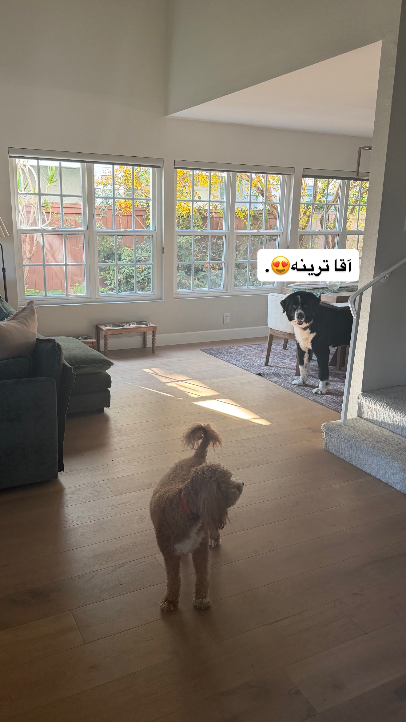  جدید ترین استوری اینستاگرام ثریا وحدتی نیا
