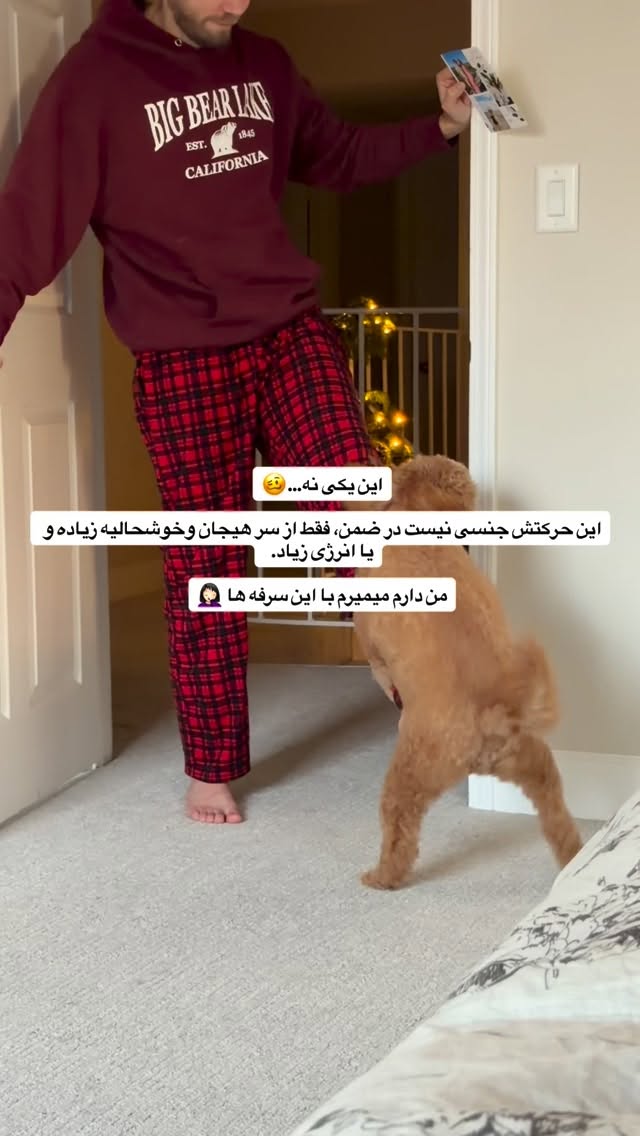  جدید ترین استوری اینستاگرام ثریا وحدتی نیا