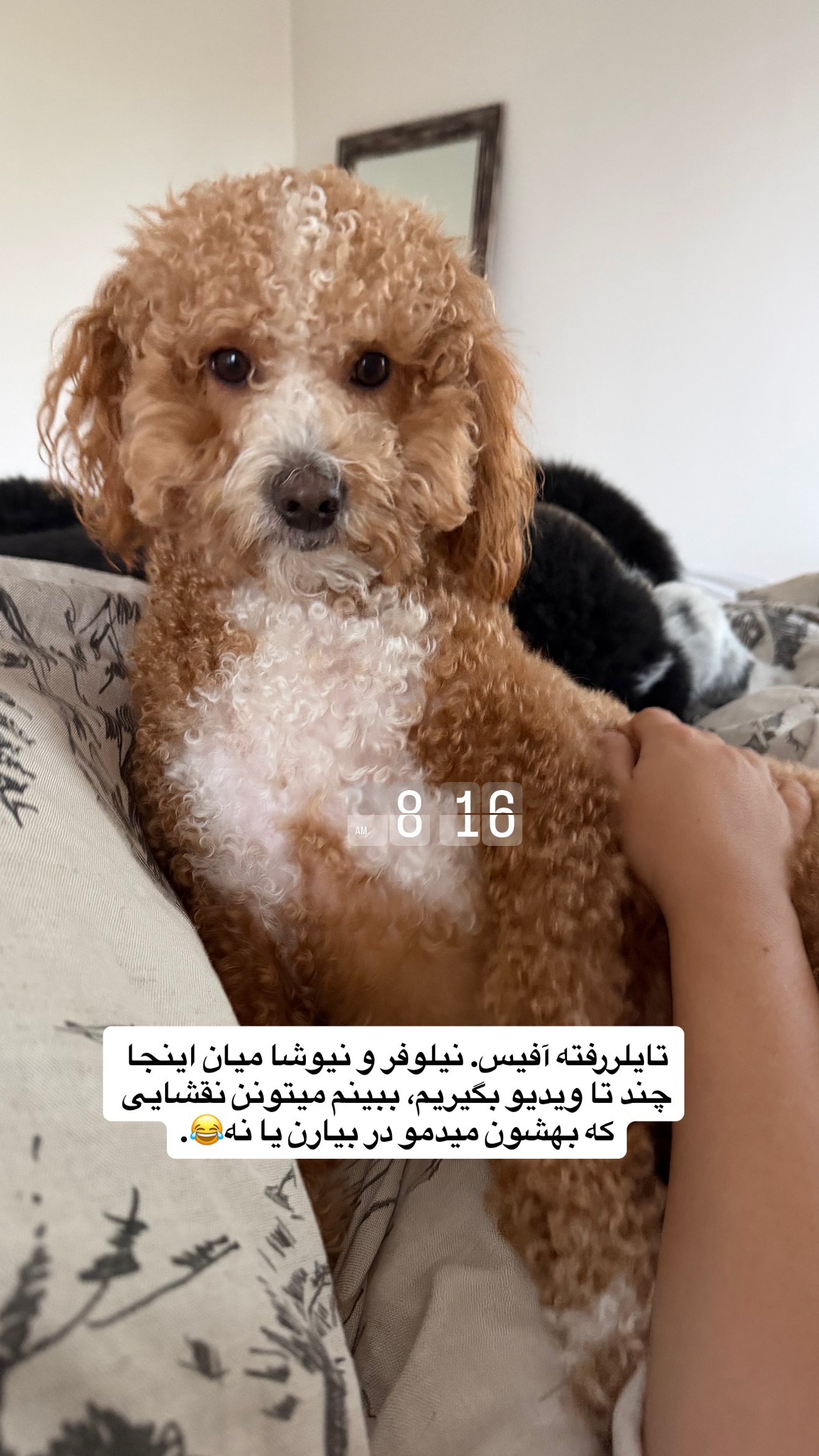  جدید ترین استوری اینستاگرام ثریا وحدتی نیا