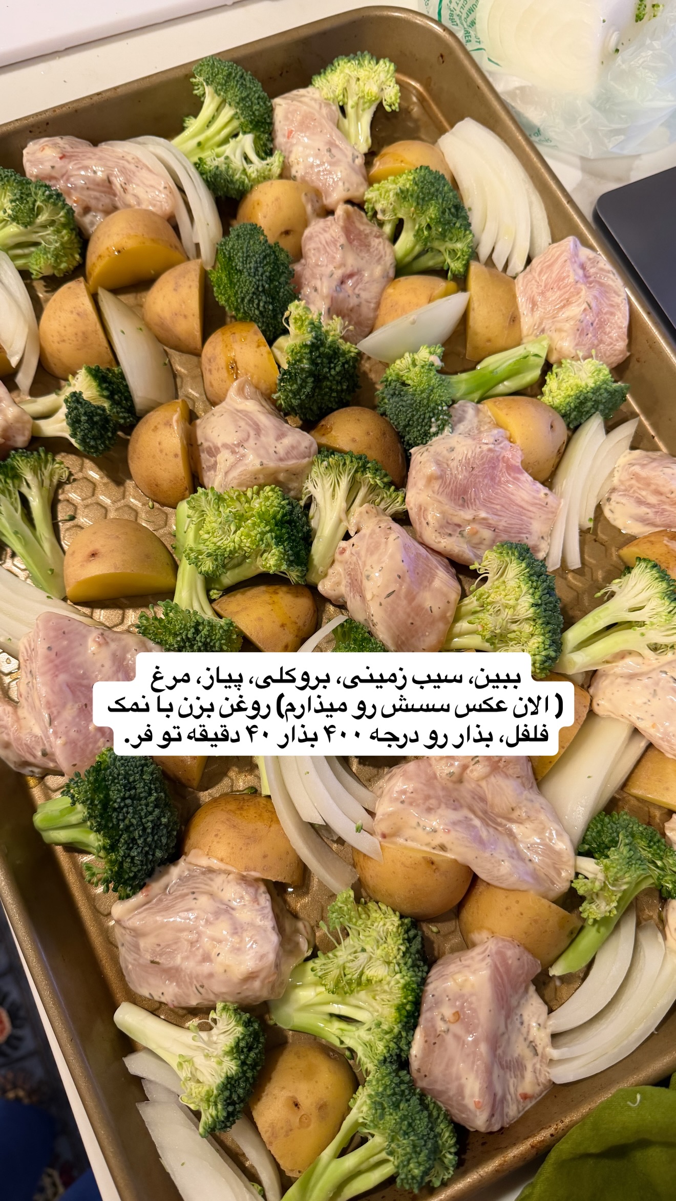  جدید ترین استوری اینستاگرام ثریا وحدتی نیا