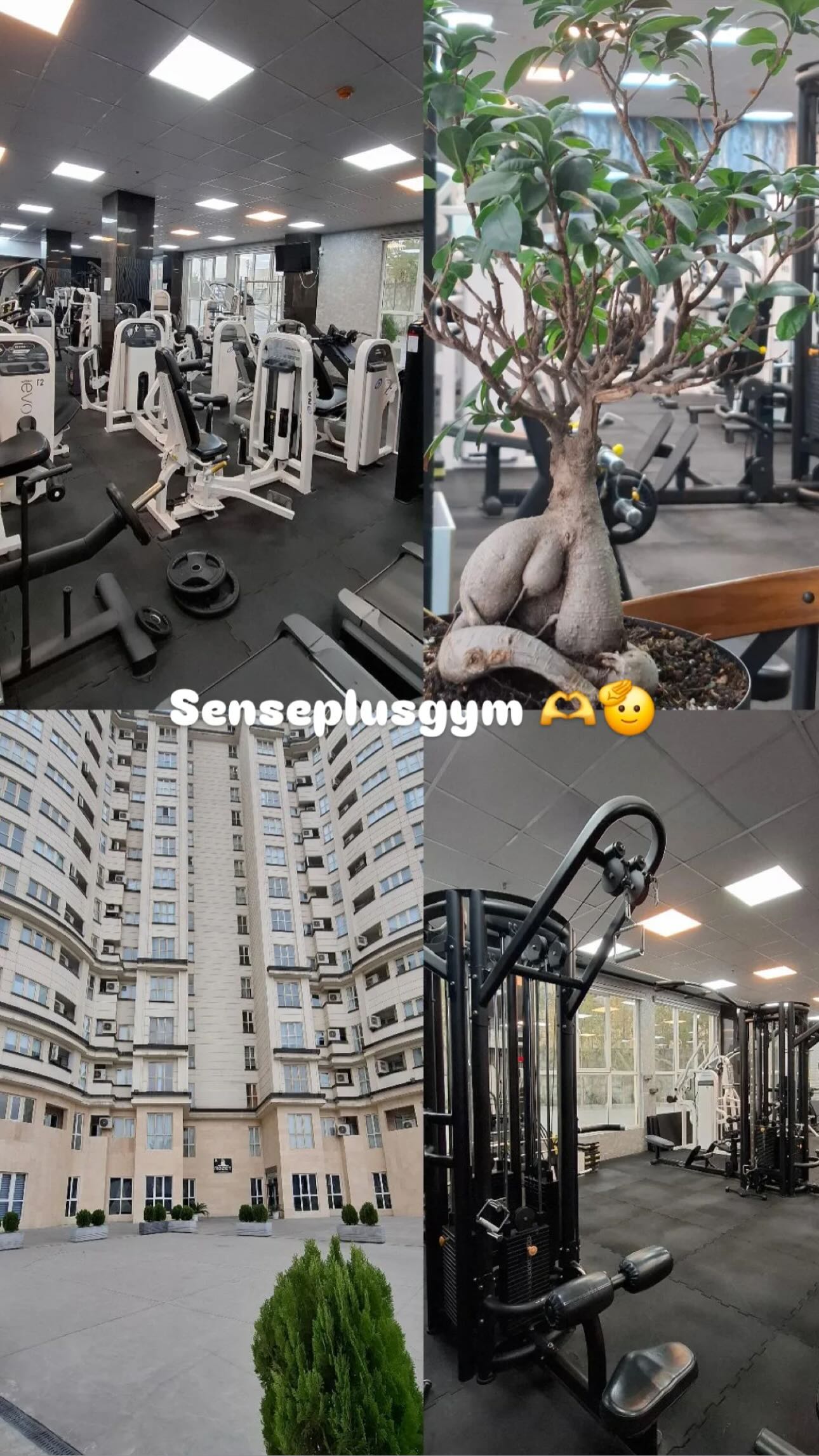  جدید ترین استوری اینستاگرام سجاد گنجی زاده
