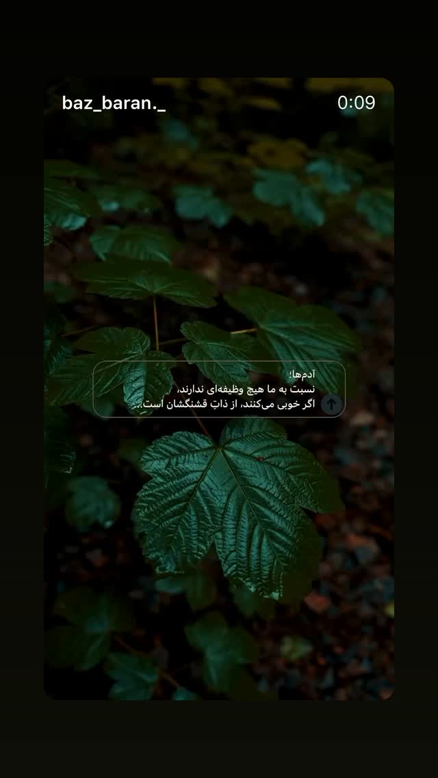  جدید ترین استوری اینستاگرام سجادقراگزلو