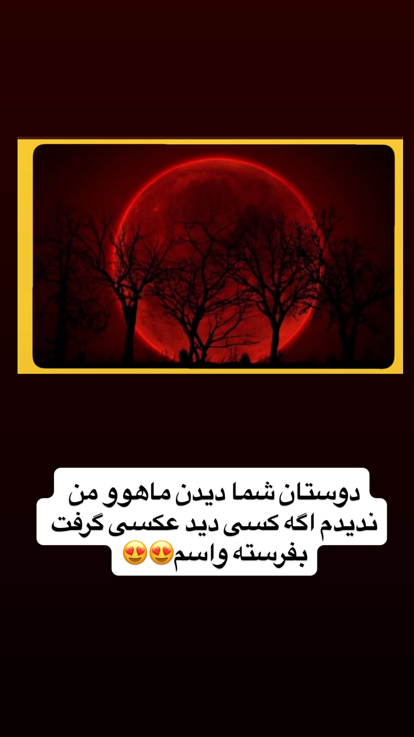  جدید ترین استوری اینستاگرام سجاد نظری فر