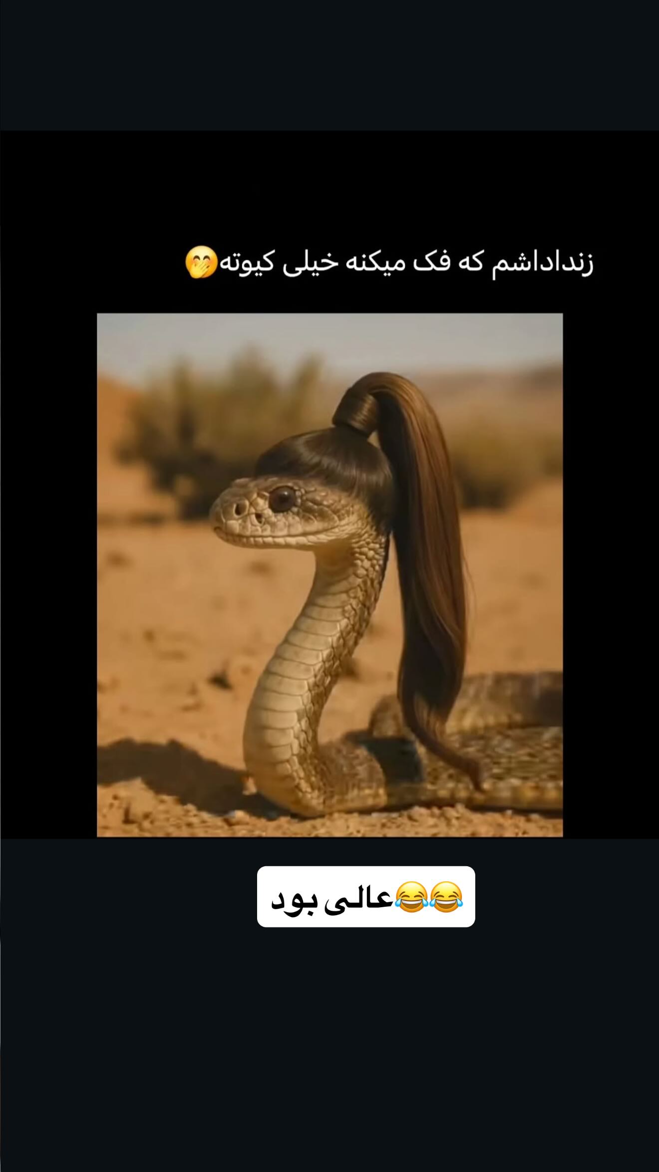  جدید ترین استوری اینستاگرام سجاد نظری فر