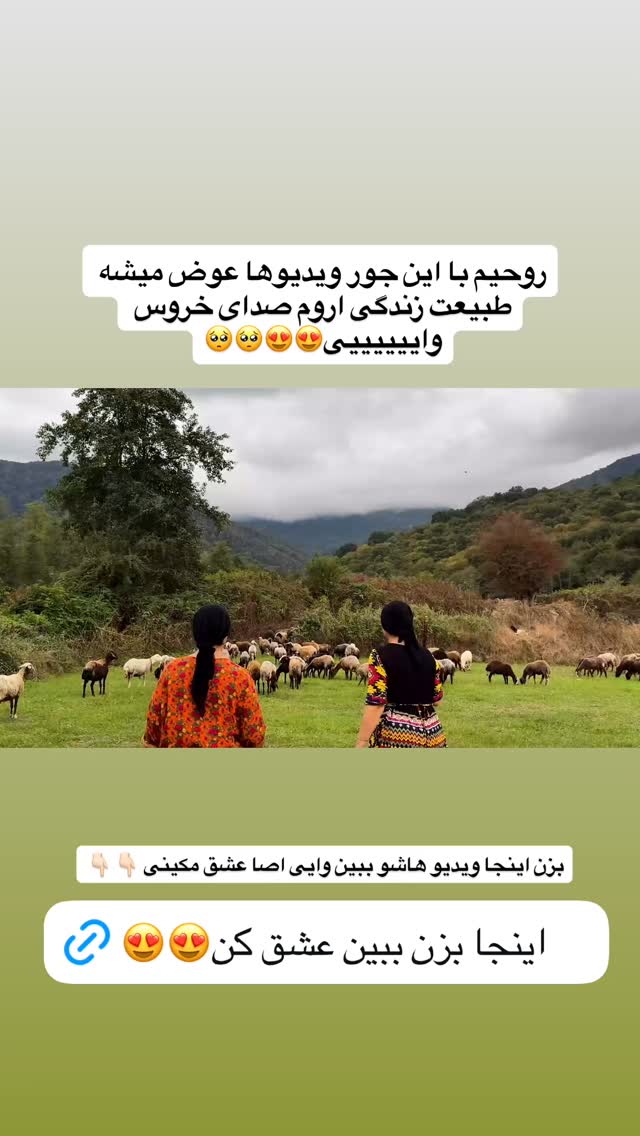  جدید ترین استوری اینستاگرام سجاد نظری فر