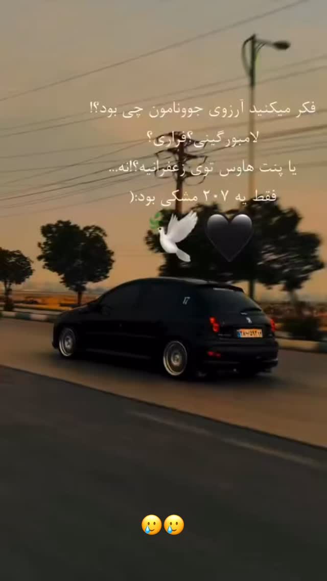  جدید ترین استوری اینستاگرام سجاد نظری فر