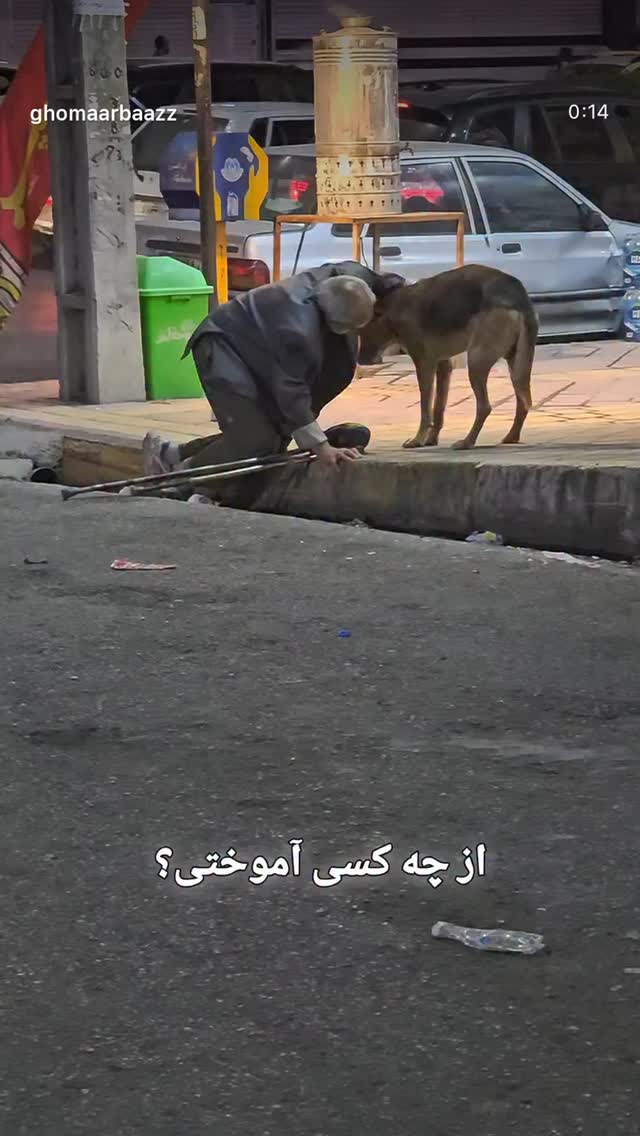 جدید ترین استوری اینستاگرام سجاد بابایی
