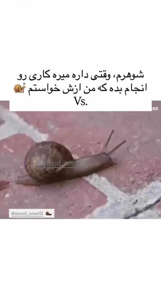  جدید ترین استوری اینستاگرام سلامت زنان