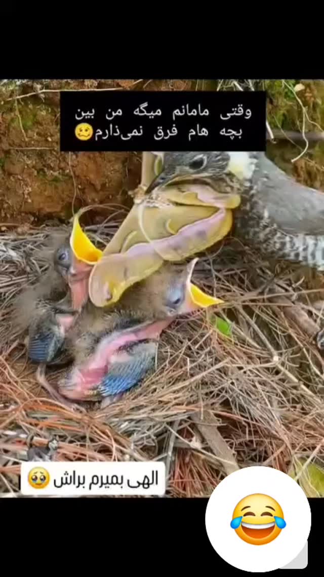  جدید ترین استوری اینستاگرام سلامت زنان