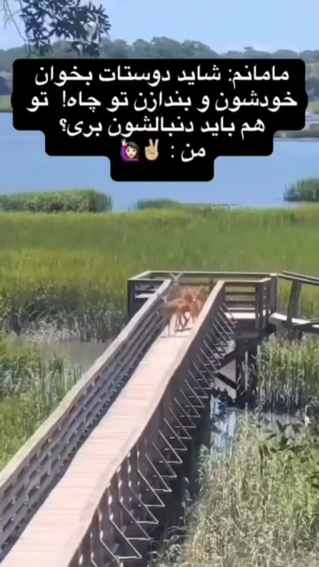  جدید ترین استوری اینستاگرام سلامت زنان