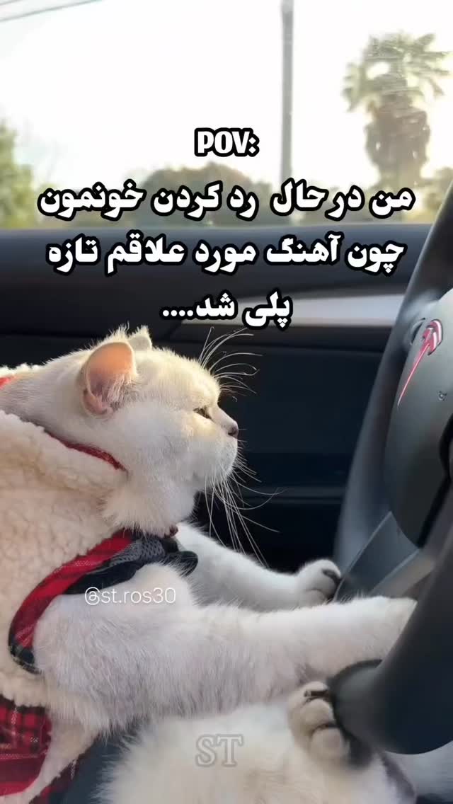  جدید ترین استوری اینستاگرام سلامت زنان