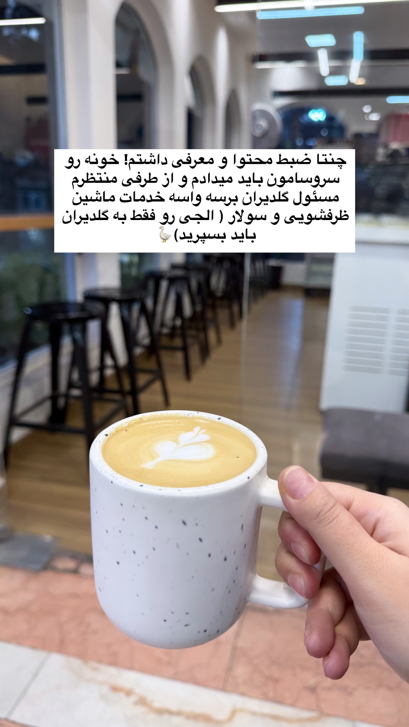  جدید ترین استوری اینستاگرام سلیم