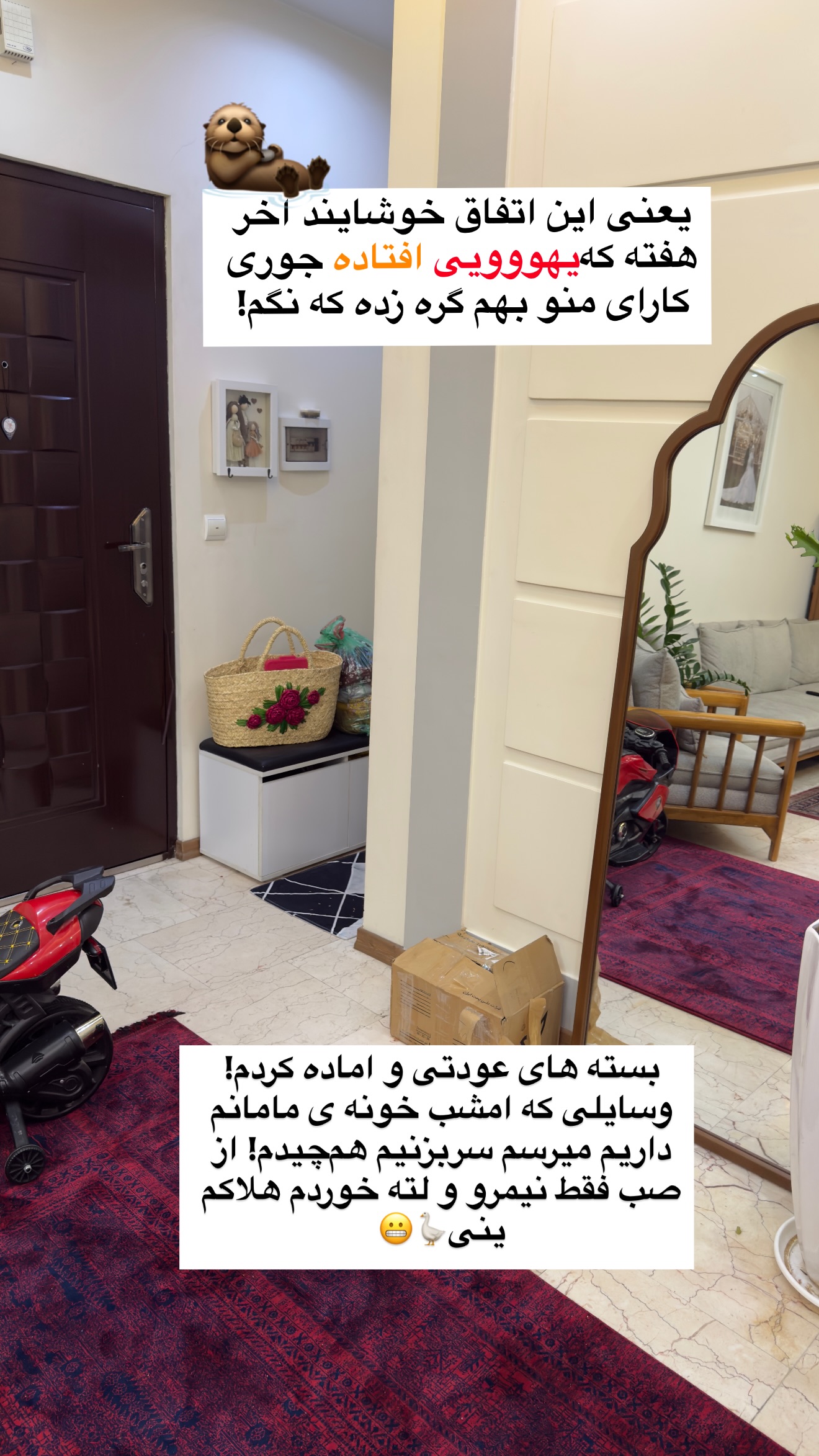  جدید ترین استوری اینستاگرام سلیم