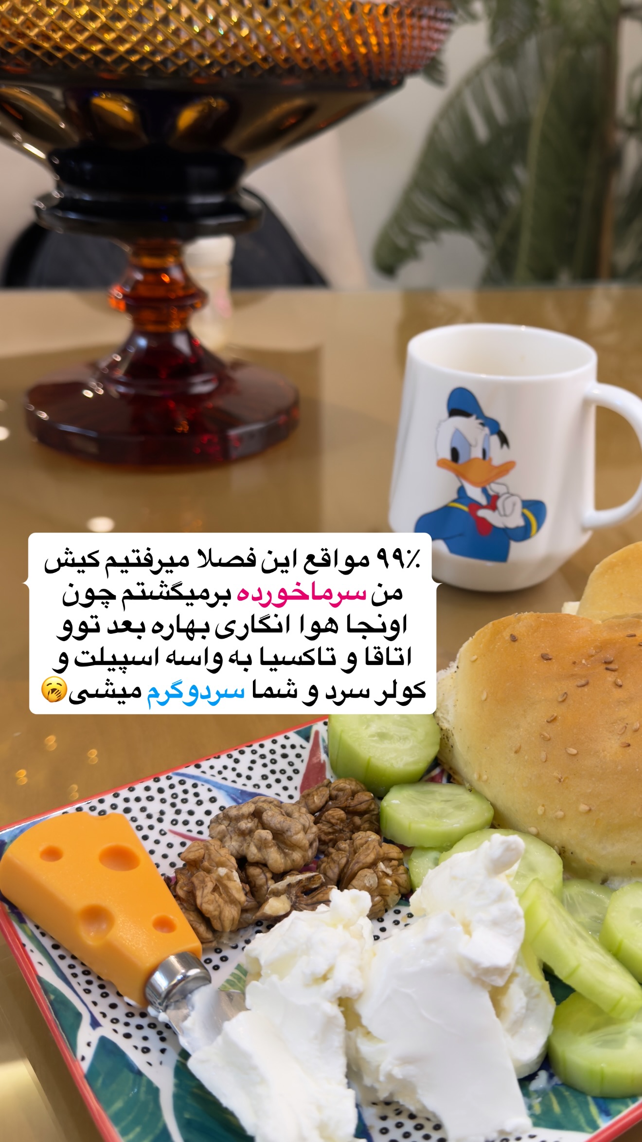  جدید ترین استوری اینستاگرام سلیم