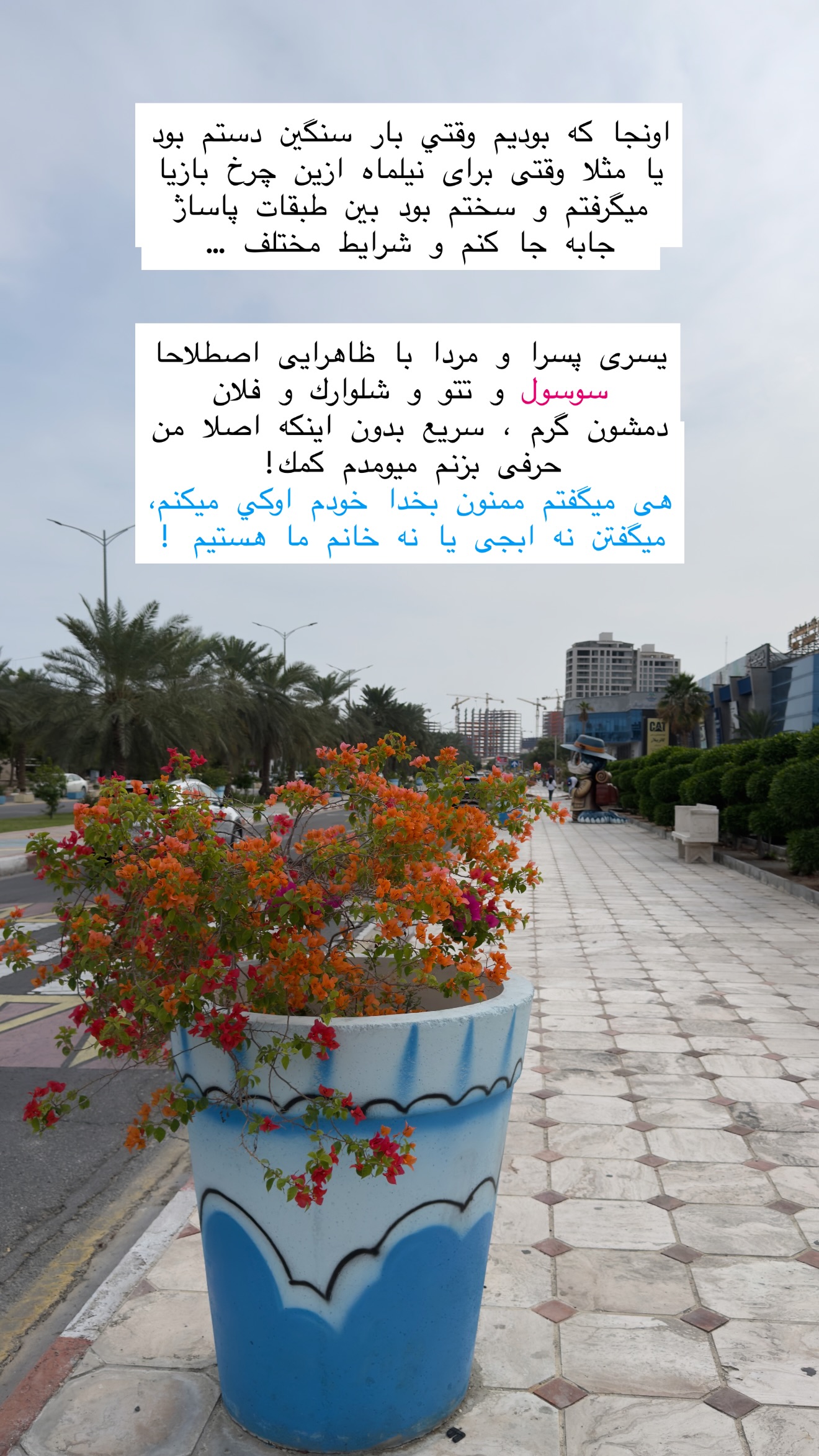  جدید ترین استوری اینستاگرام سلیم