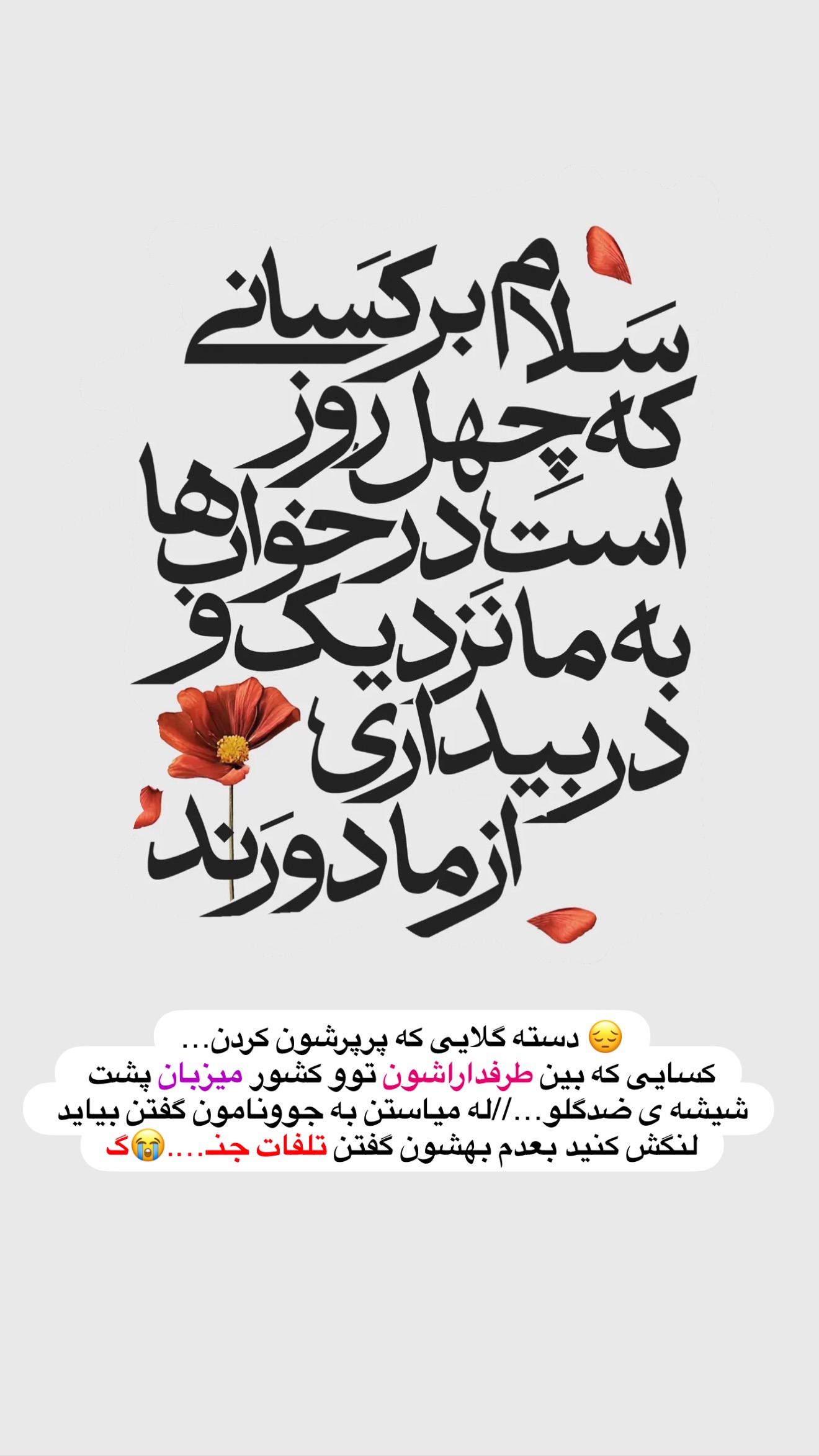  جدید ترین استوری اینستاگرام سلیم