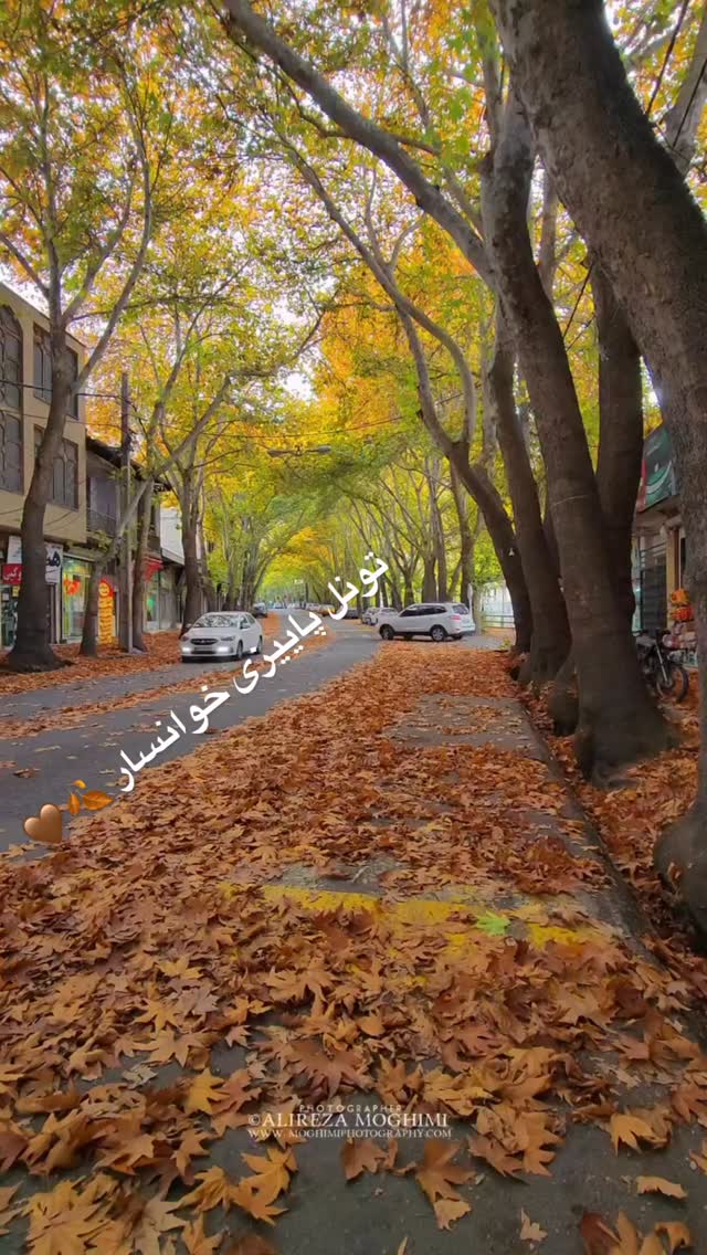  جدید ترین استوری اینستاگرام سلمان امیری