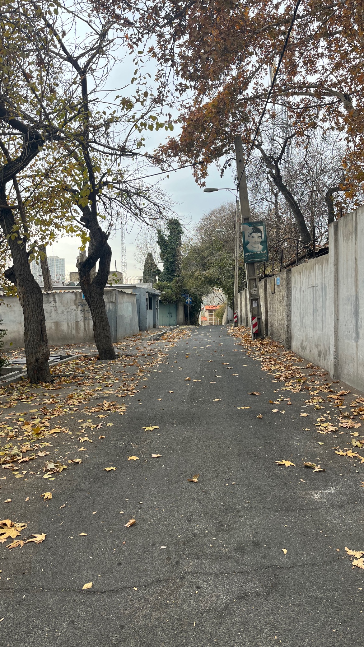  جدید ترین استوری اینستاگرام سلمان امیری