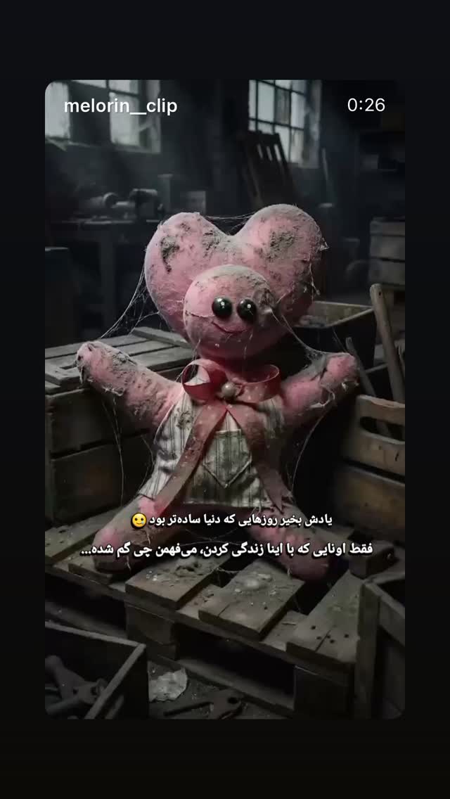  جدید ترین استوری اینستاگرام سلمان امیری