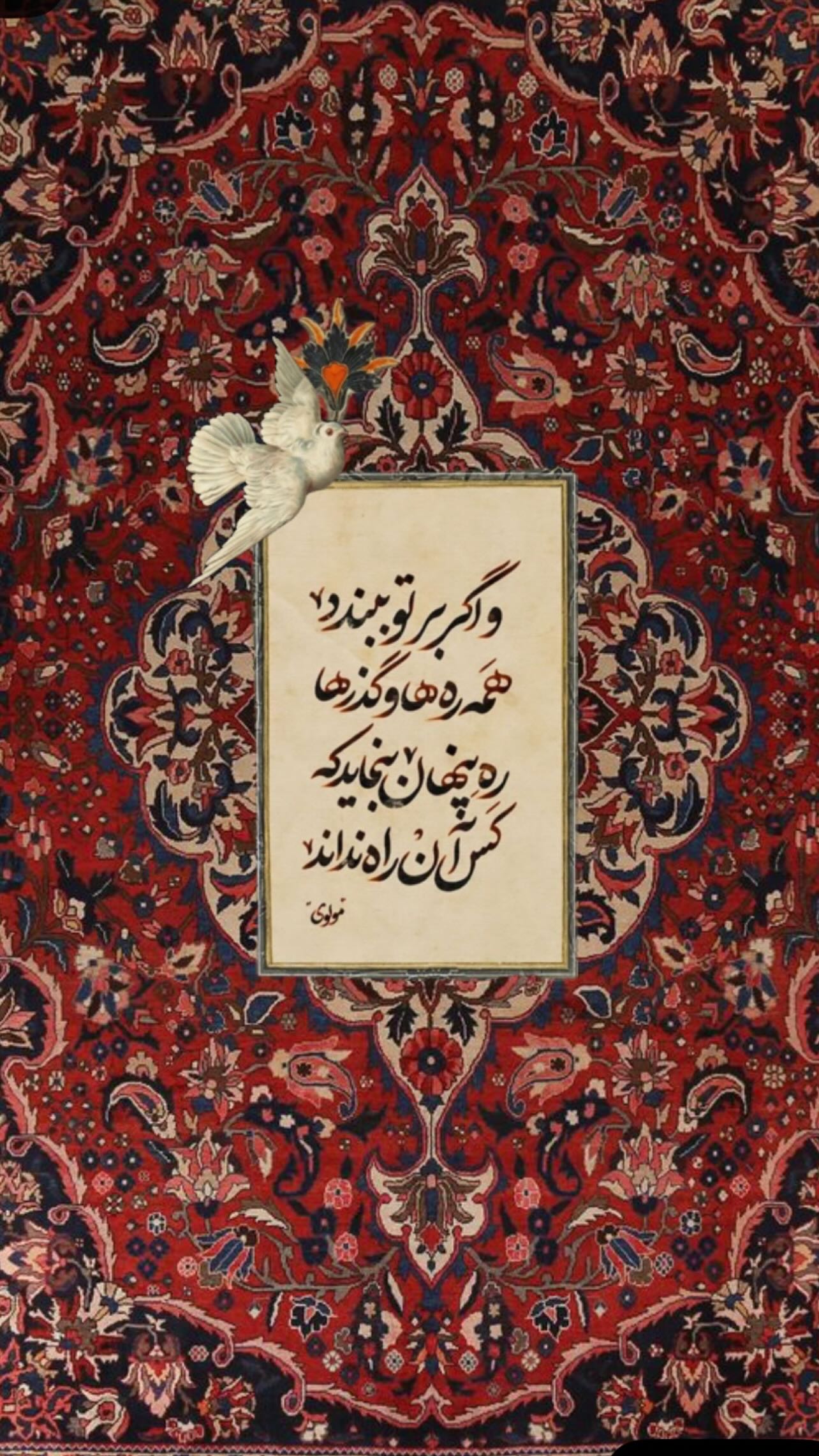  جدید ترین استوری اینستاگرام سام کبود وند