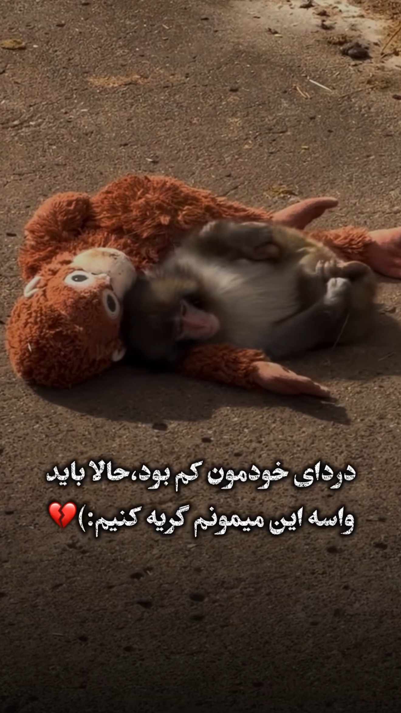  جدید ترین استوری اینستاگرام سماء موری