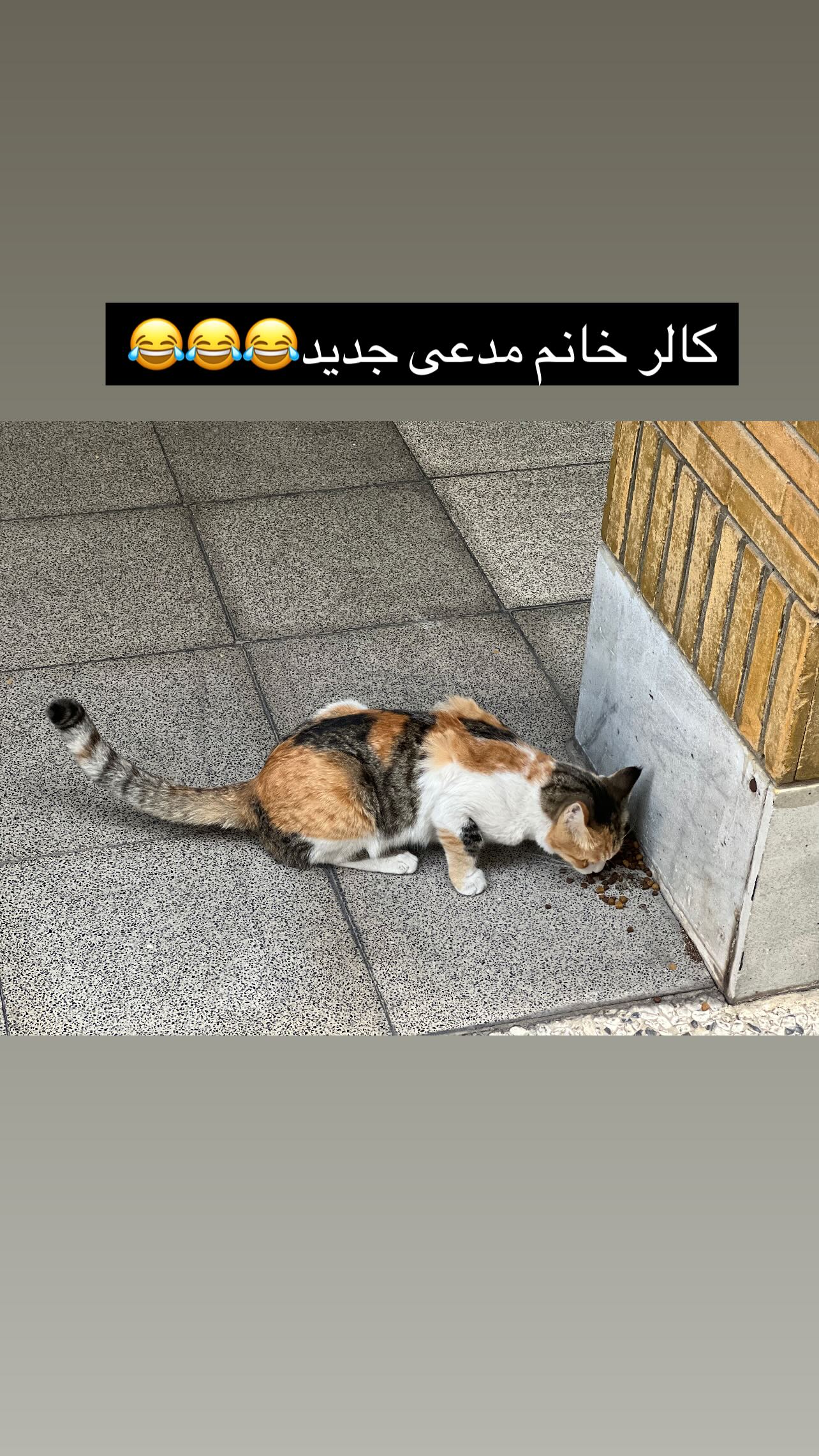  جدید ترین استوری اینستاگرام سامان سالور