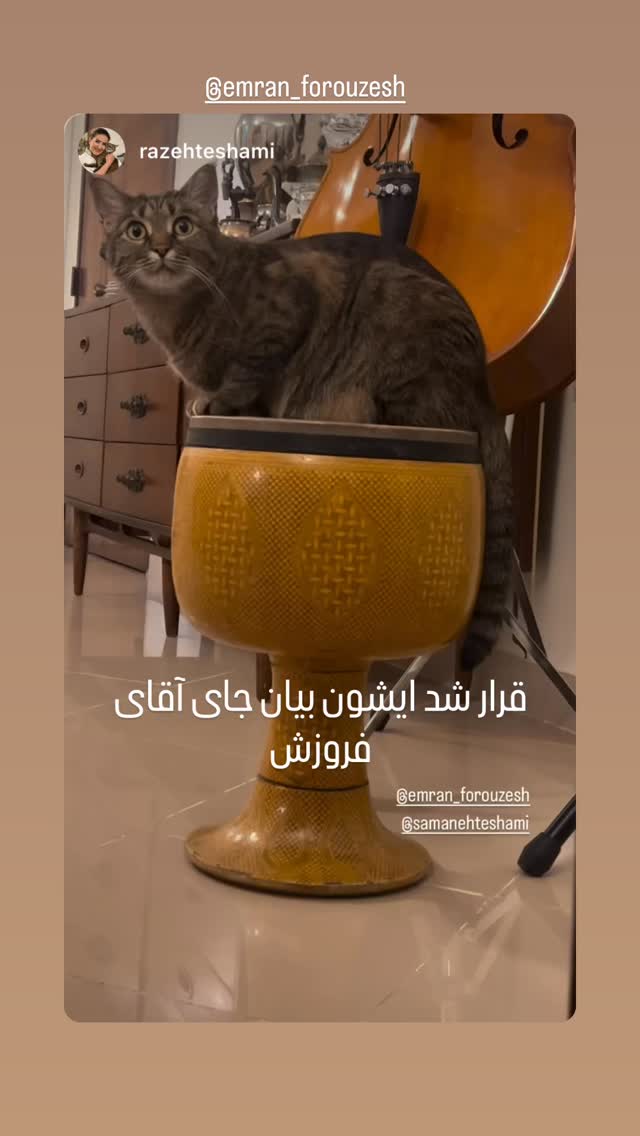  جدید ترین استوری اینستاگرام سامان احتشامى