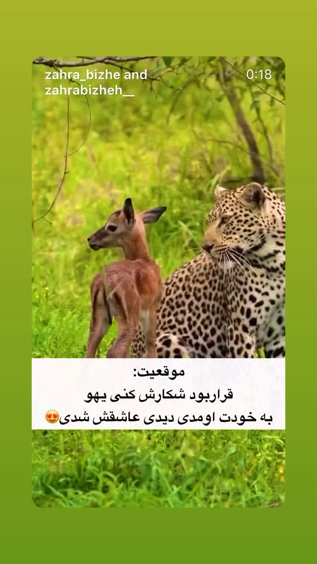  جدید ترین استوری اینستاگرام سامان گوران