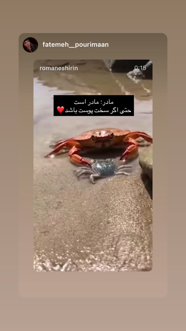  جدید ترین استوری اینستاگرام سامان گوران