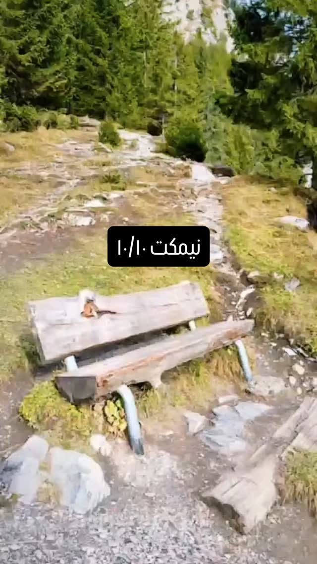  جدید ترین استوری اینستاگرام سامان مظلومی