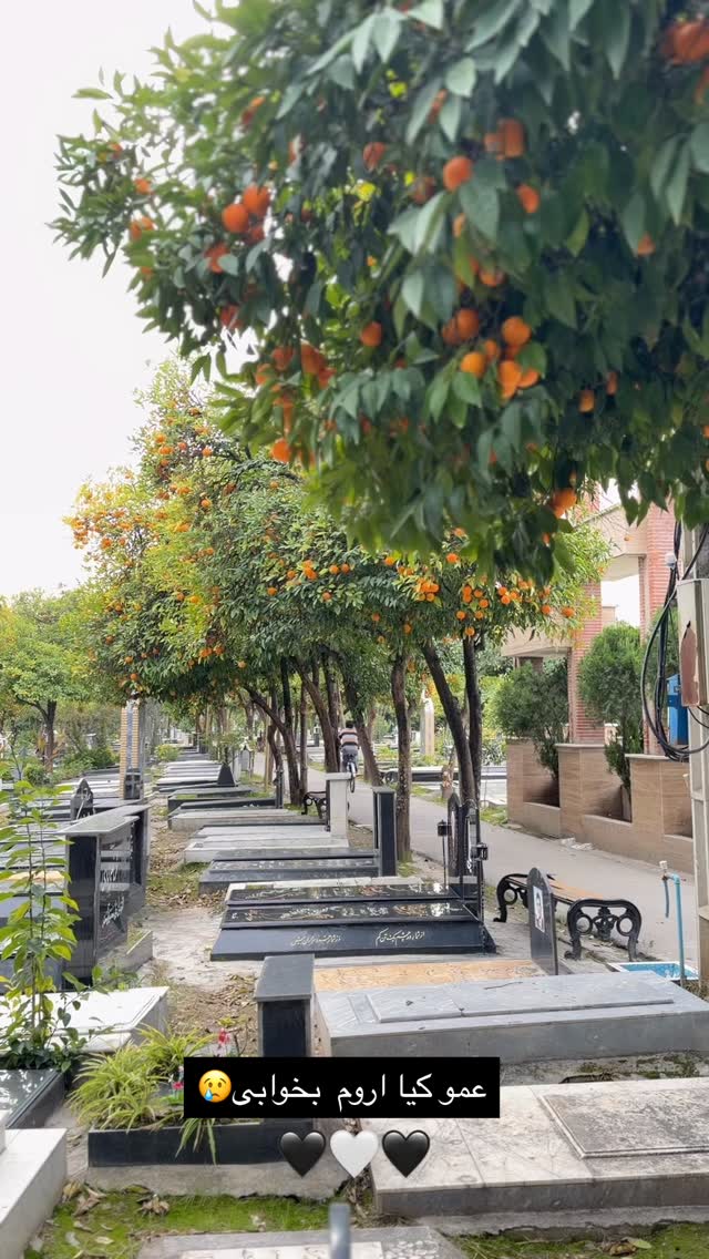  جدید ترین استوری اینستاگرام سمیرا شیرزاد