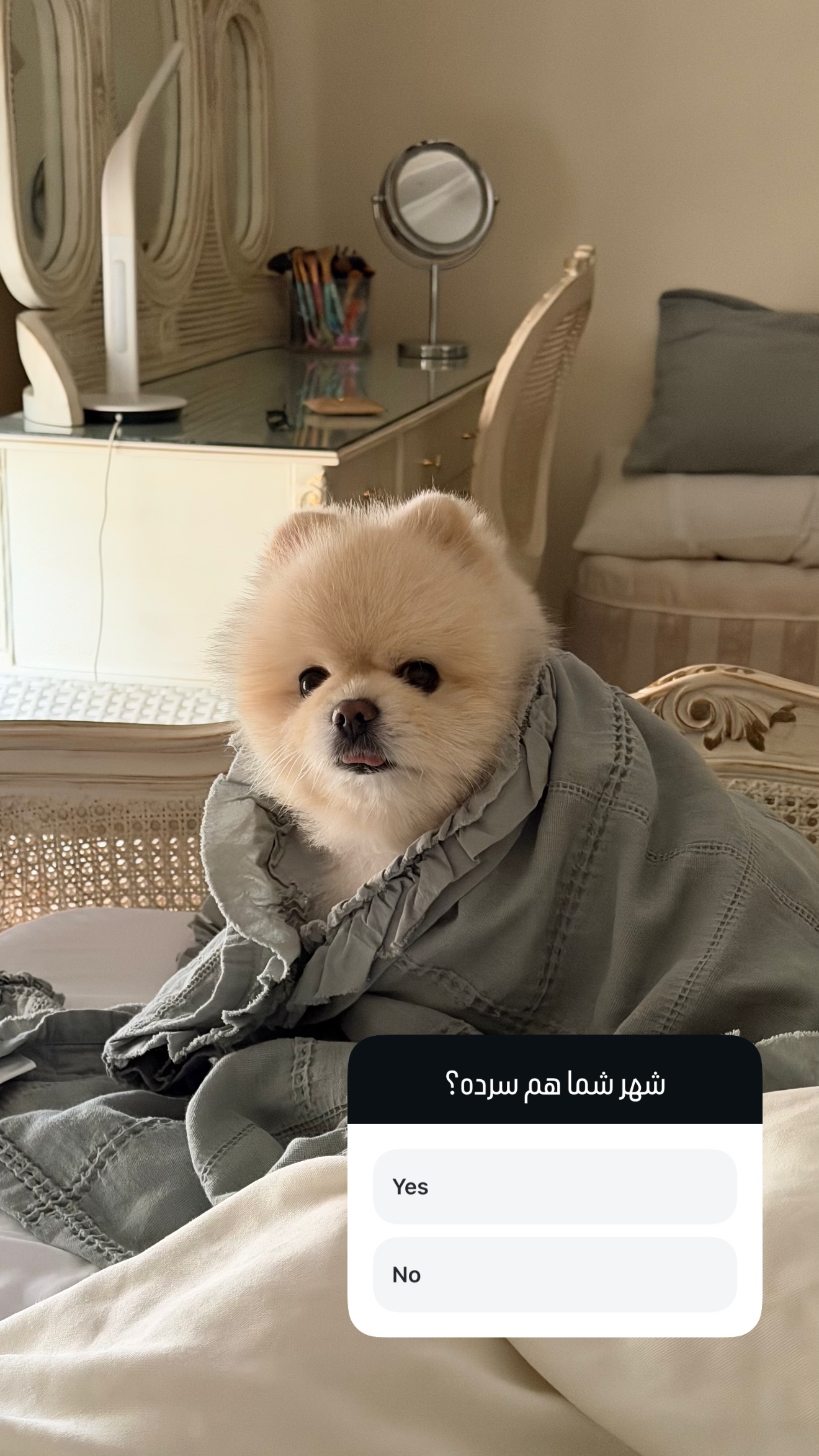  جدید ترین استوری اینستاگرام سمیرا شیرزاد