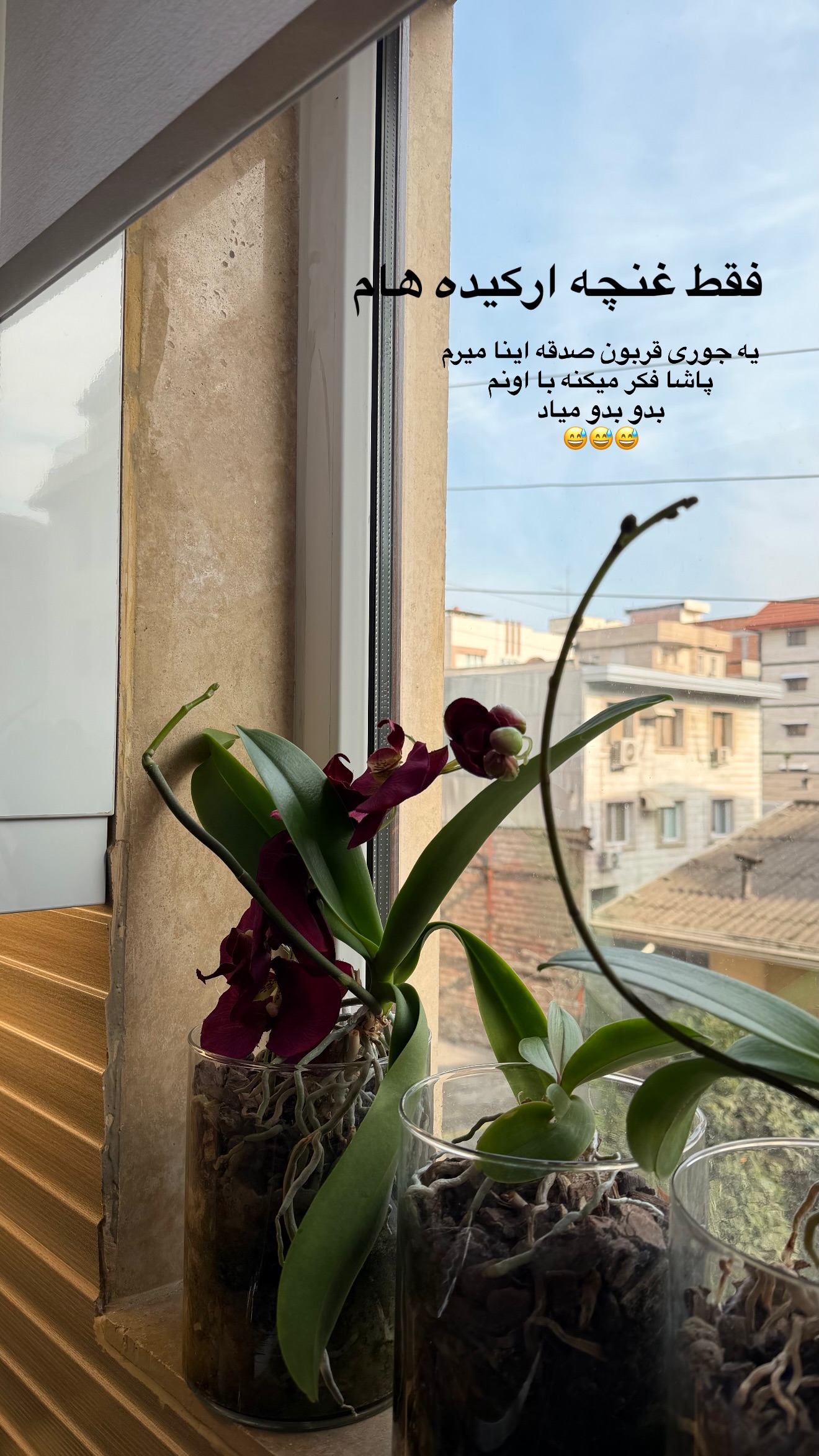  جدید ترین استوری اینستاگرام سمیرا شیرزاد