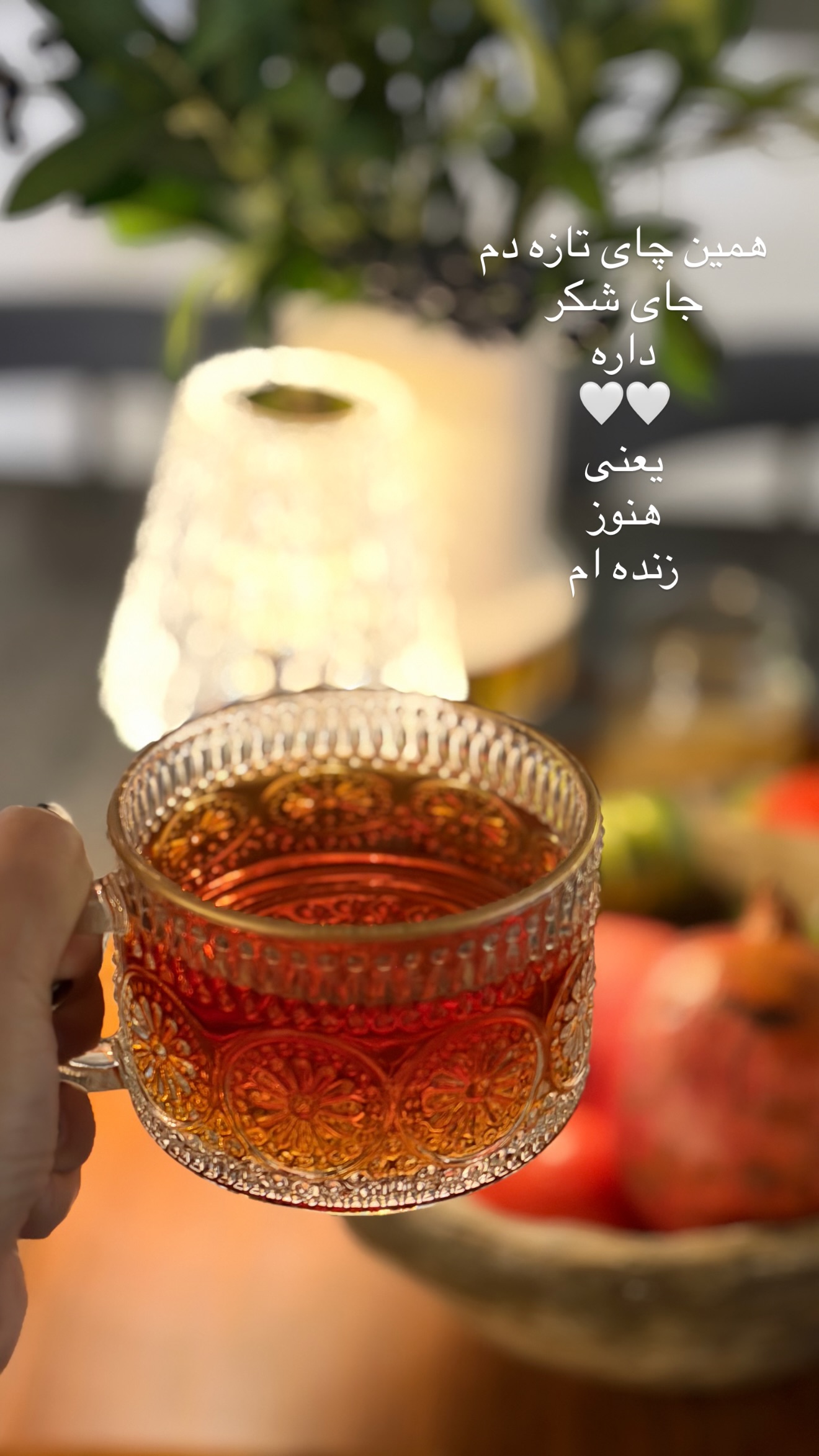  جدید ترین استوری اینستاگرام سمیرا شیرزاد
