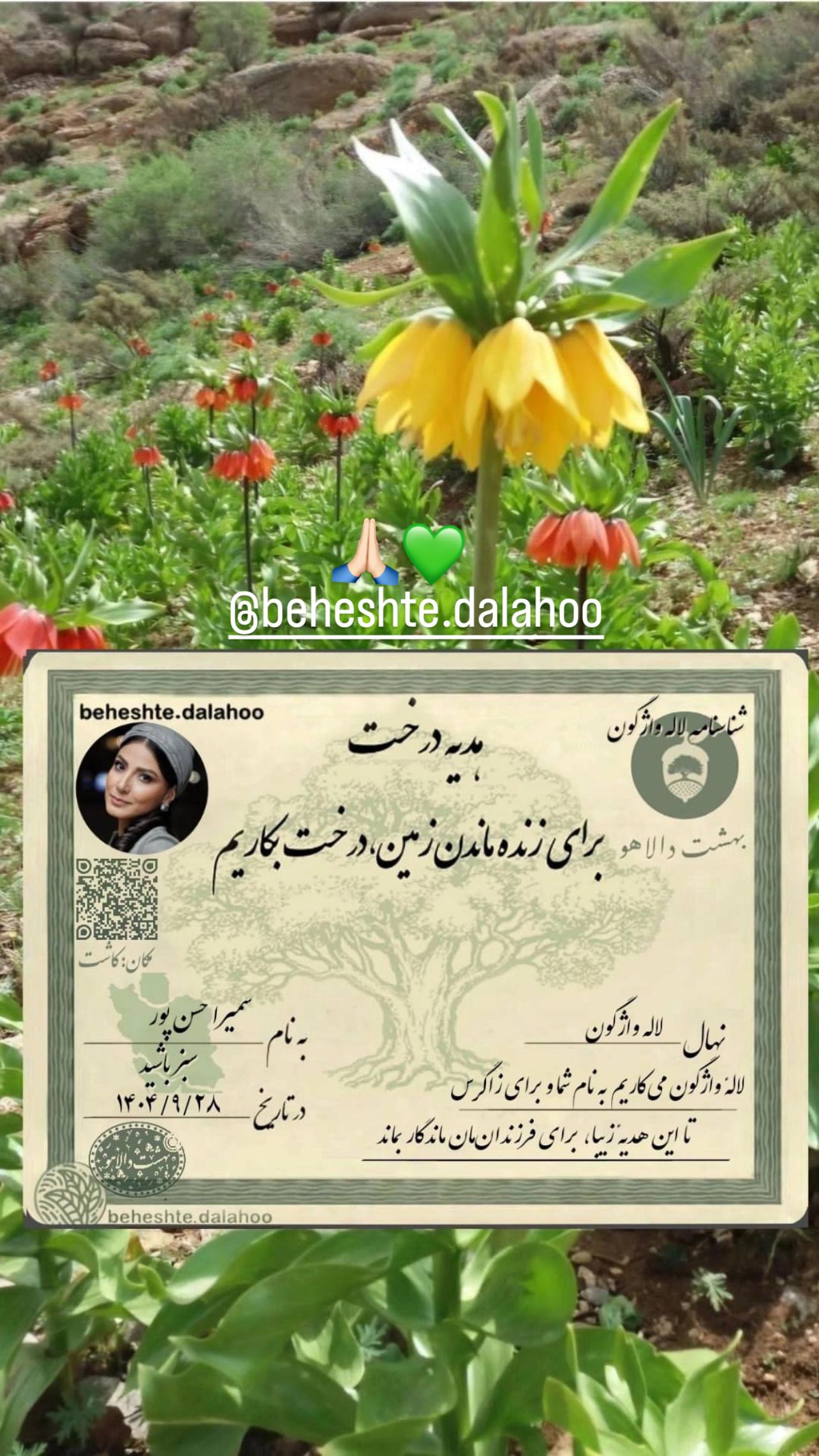  جدید ترین استوری اینستاگرام سمیرا حسن پور