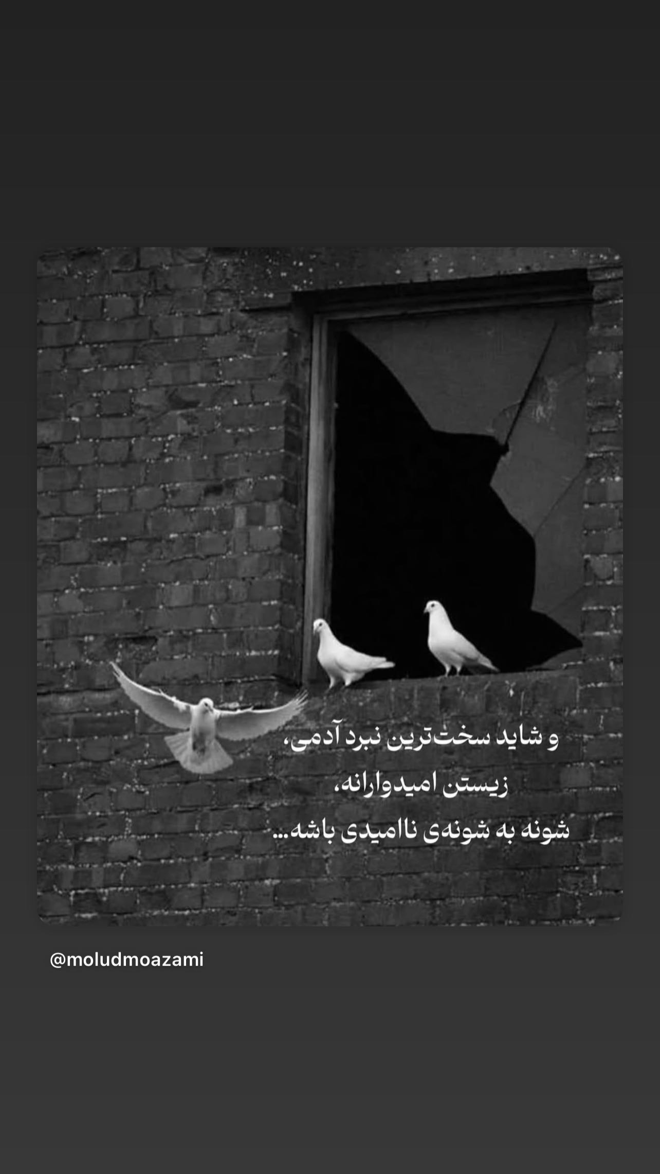  جدید ترین استوری اینستاگرام سمیرا حسن پور