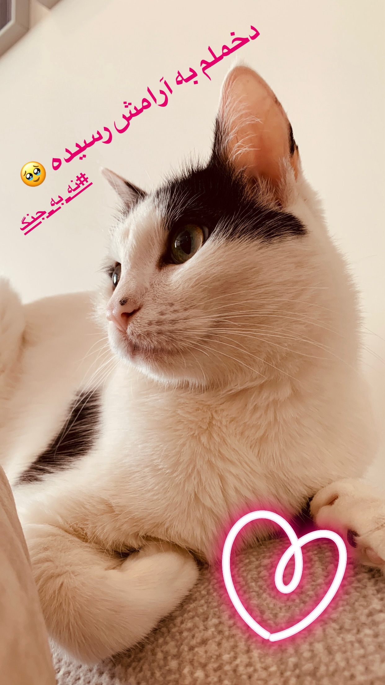  جدید ترین استوری اینستاگرام سمیرا حسینی