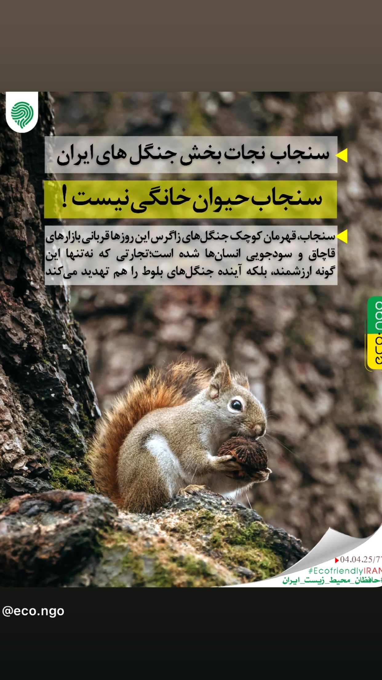  جدید ترین استوری اینستاگرام سمیرا حسینی