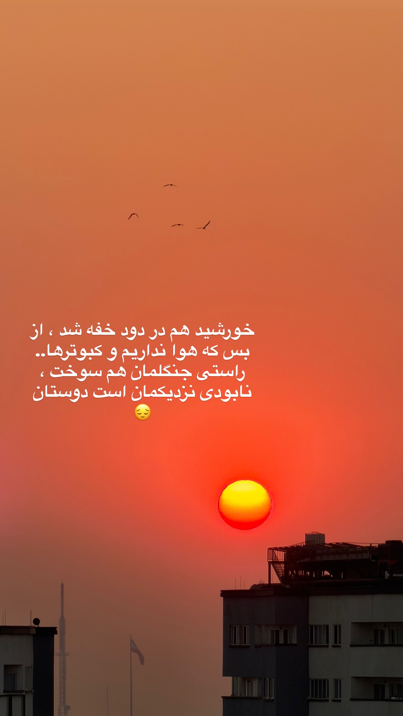  جدید ترین استوری اینستاگرام سمیرا حسینی