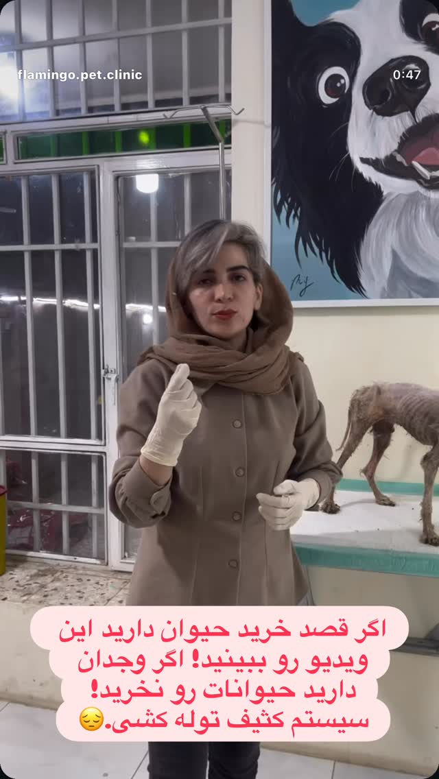  جدید ترین استوری اینستاگرام سمیرا حسینی
