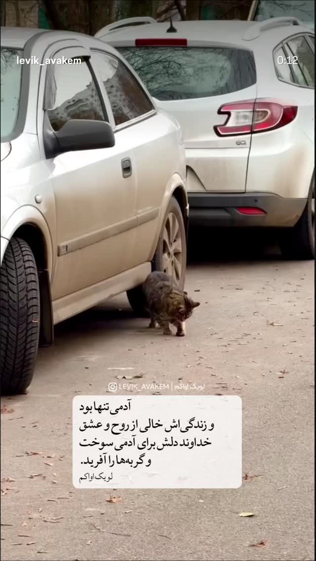  جدید ترین استوری اینستاگرام سمیرا حسینی