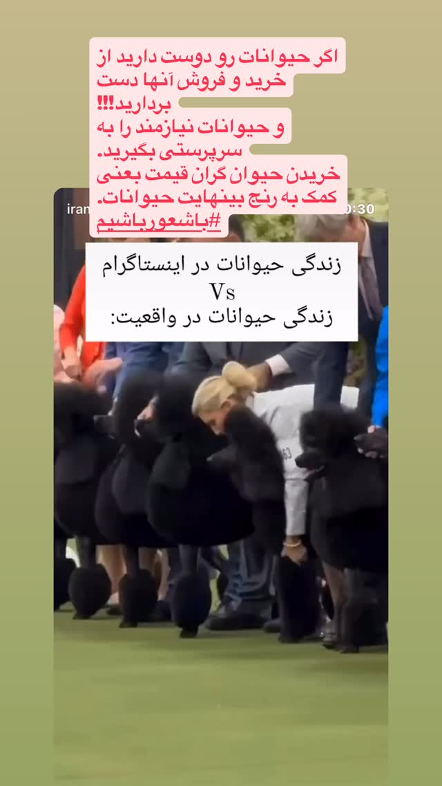  جدید ترین استوری اینستاگرام سمیرا حسینی