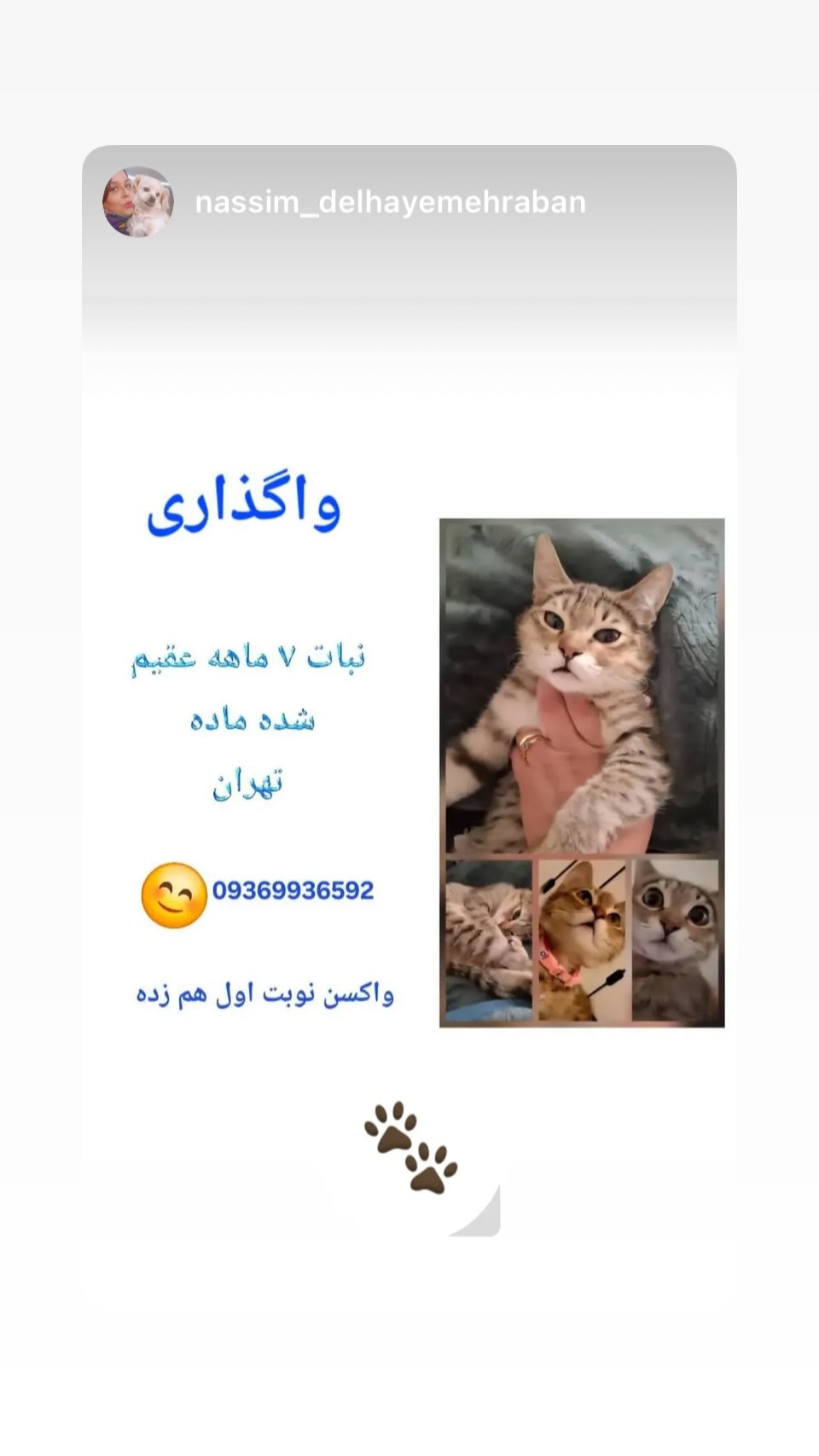  جدید ترین استوری اینستاگرام ساناز سماواتی