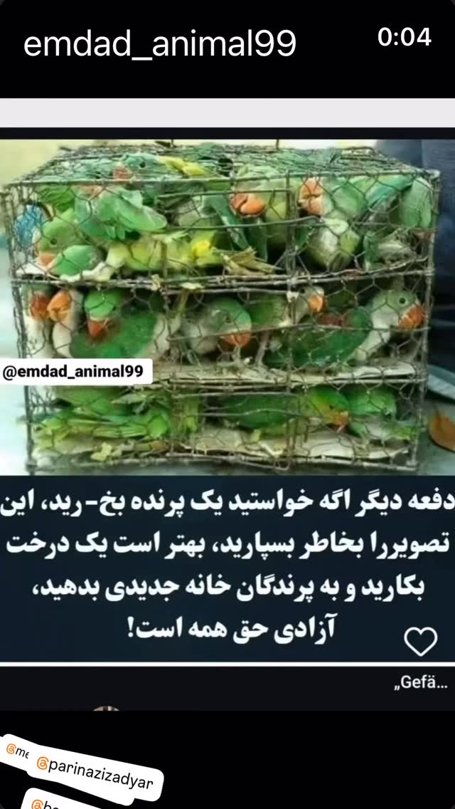  جدید ترین استوری اینستاگرام ساناز سماواتی