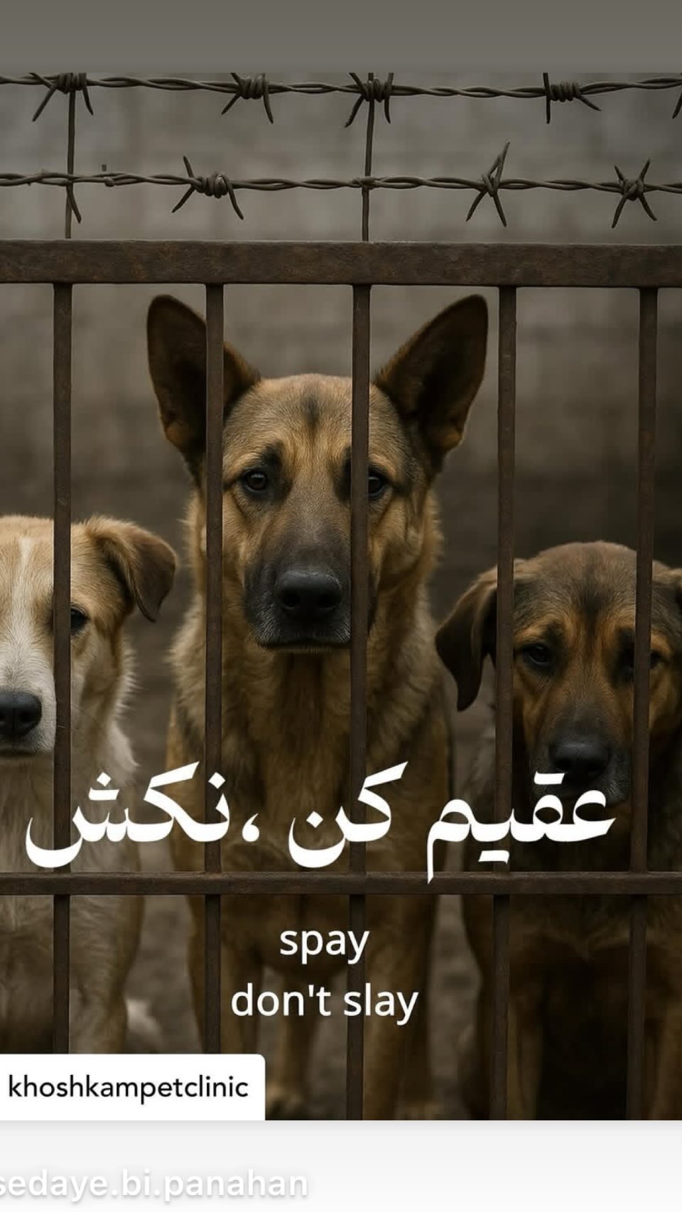  جدید ترین استوری اینستاگرام ساناز سماواتی