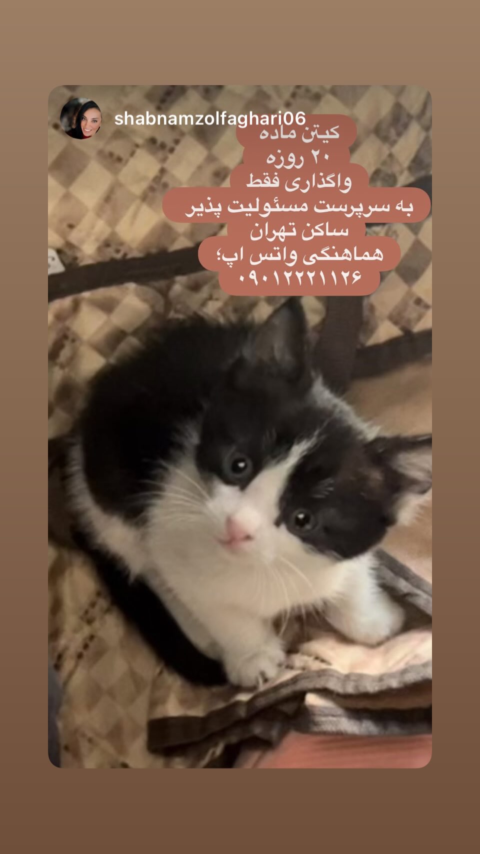  جدید ترین استوری اینستاگرام ساناز سماواتی