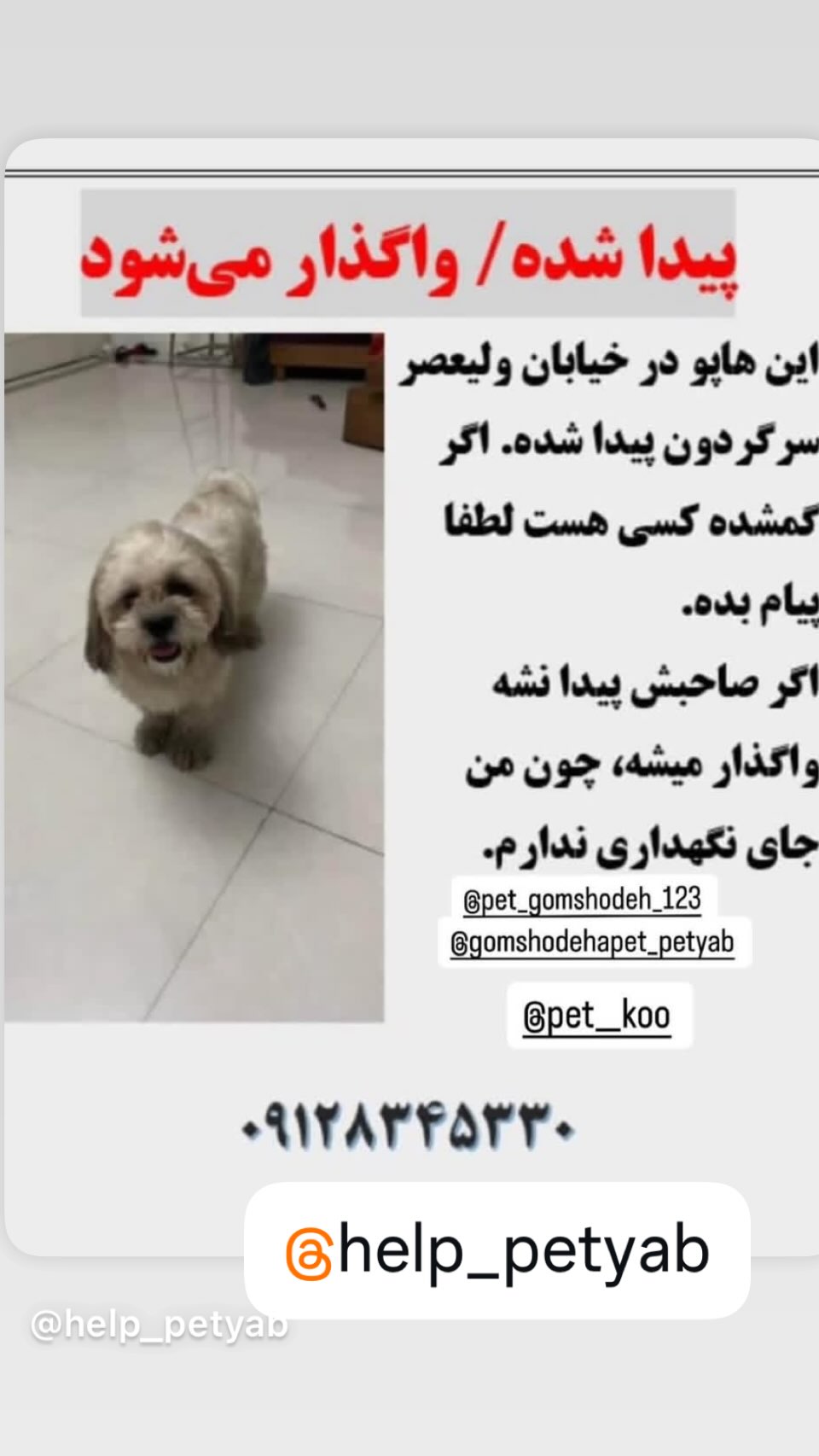  جدید ترین استوری اینستاگرام ساناز سماواتی