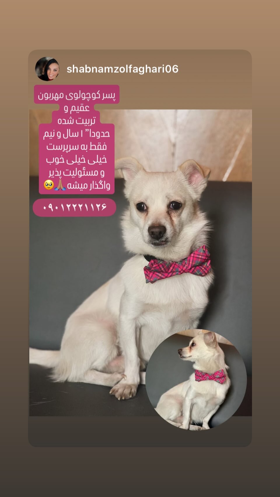  جدید ترین استوری اینستاگرام ساناز سماواتی